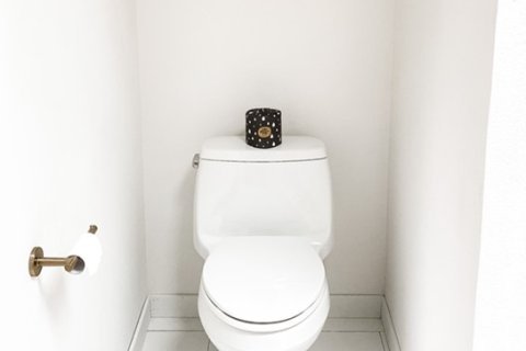 Toilet renovation in Hobart